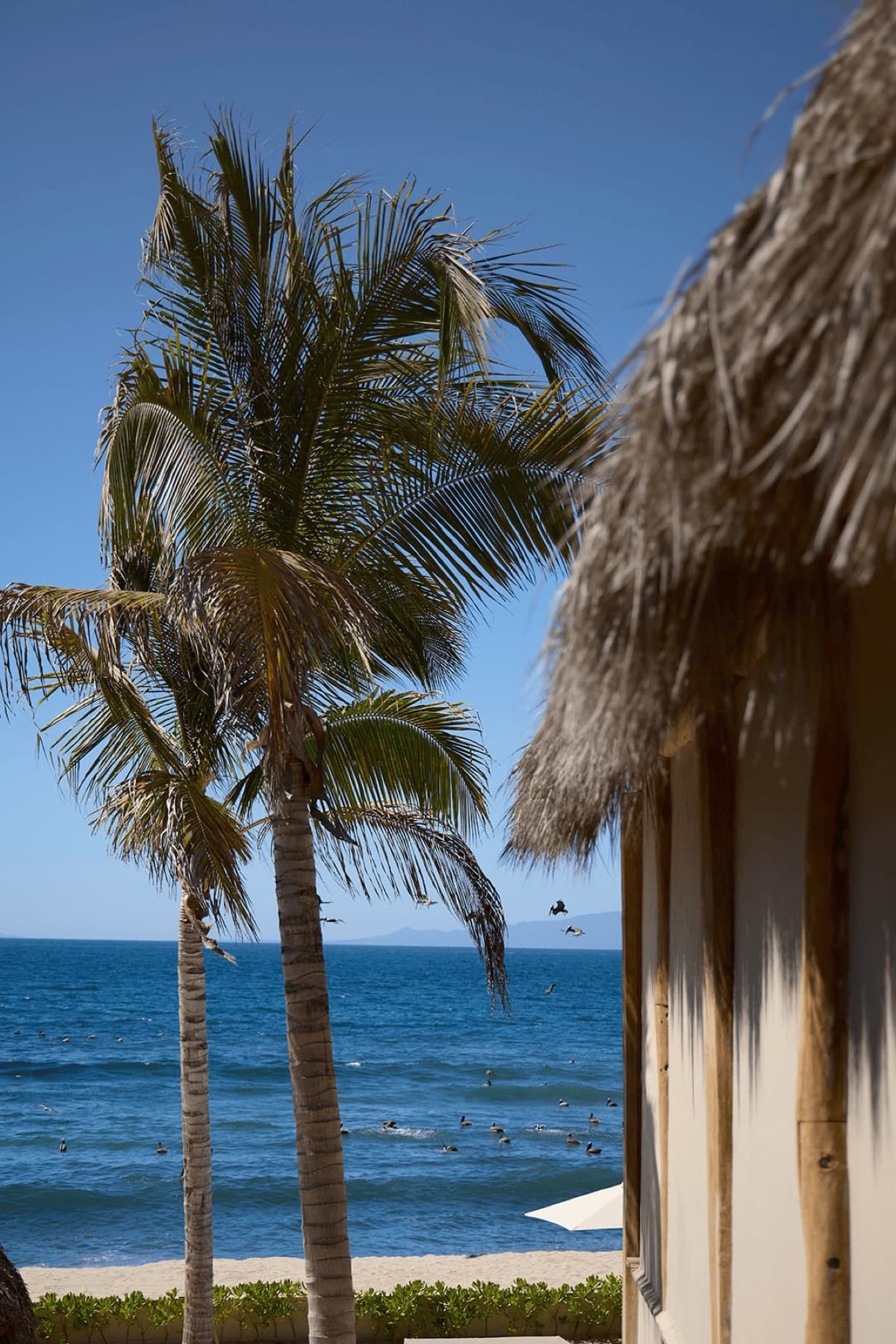 Thatched beach cabana and palms looking out over a blue ocean